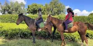 A picture showing two Tourist riding Horses in Tigoni with Wild Springs Adventures