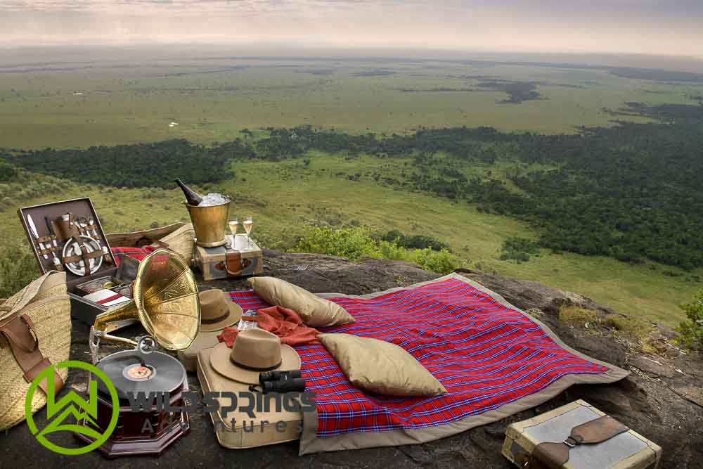 how to book masai mara safari