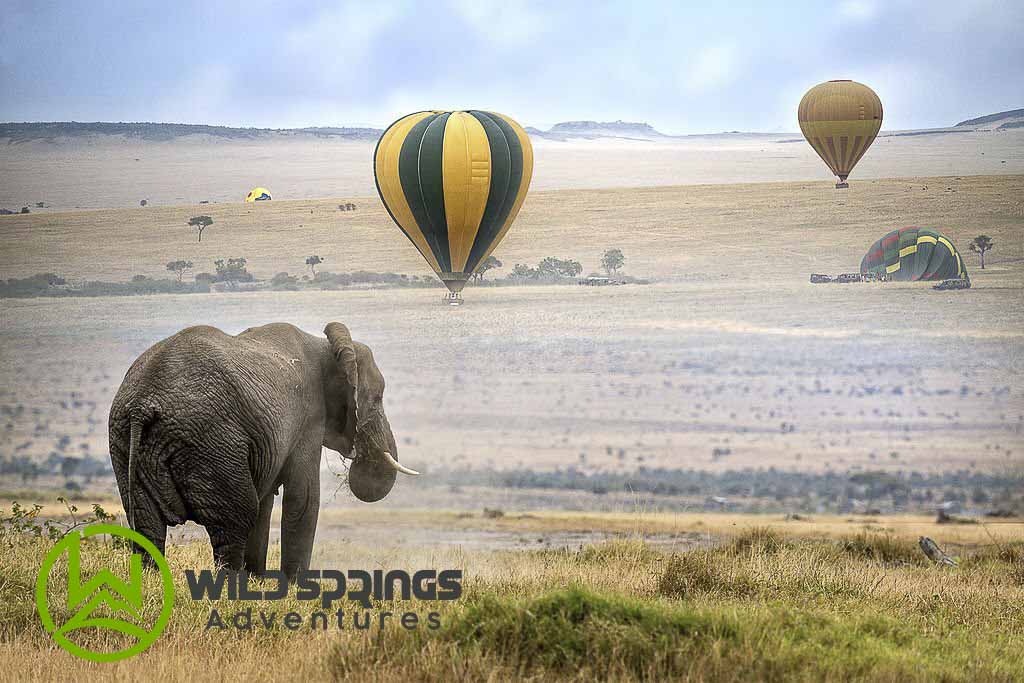 Hot Air Ballon safari in Masai Mara National Reserve, Kenya