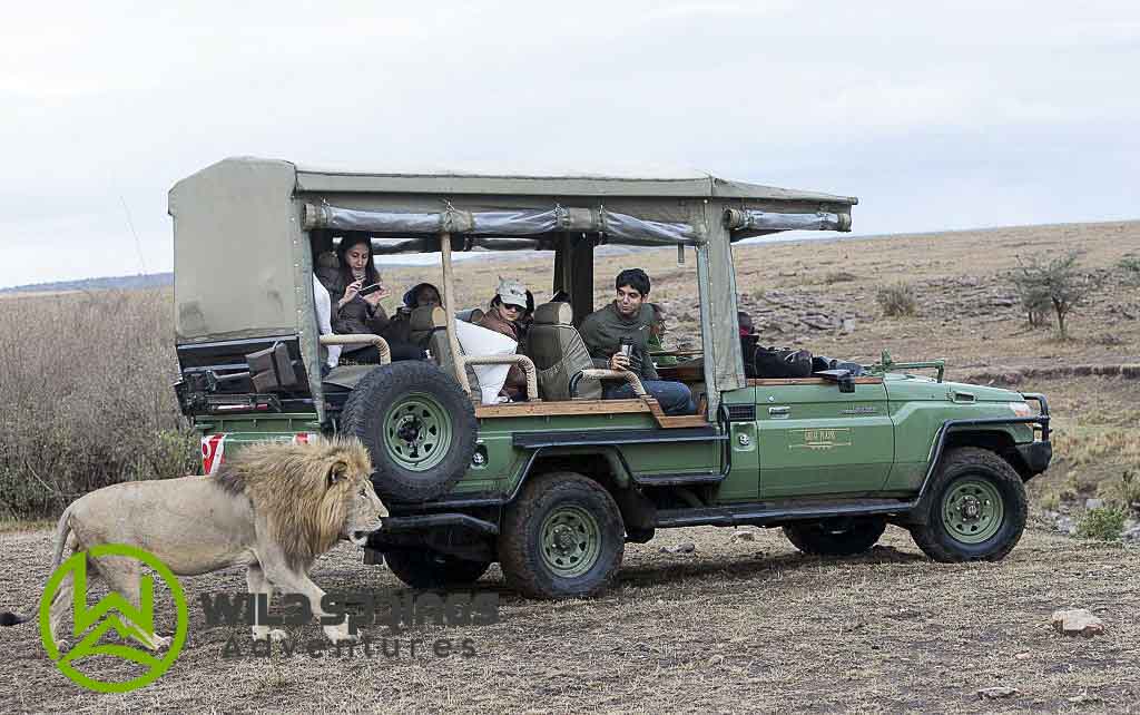 best masai mara safari packages