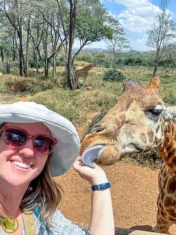 Nairobi City Safari: Discover Giraffes, Crocodiles, And Kenyan Culture