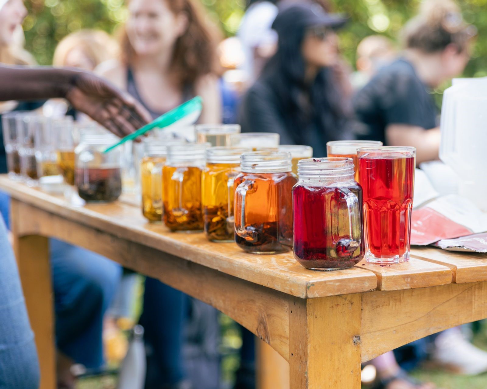 🌿 🟣 Gatura Greens Purple Tea Farm Tour Kenya 2026 | Nairobi