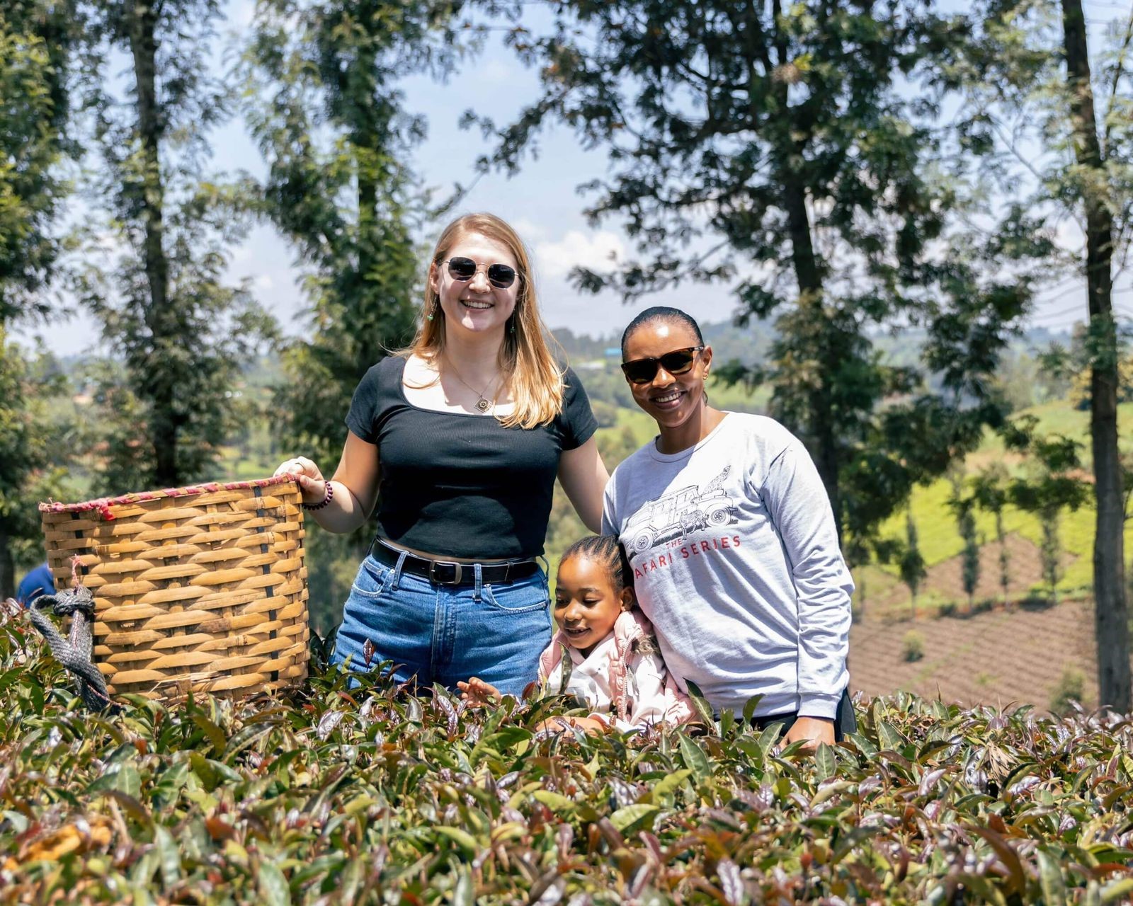 🌿 🟣 Gatura Greens Purple Tea Farm Tour Kenya 2026 | Nairobi