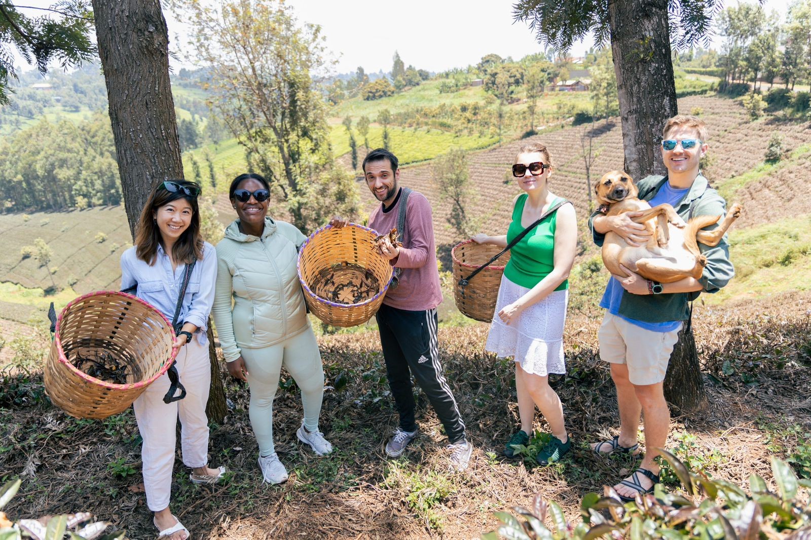 🌿 🟣 Gatura Greens Purple Tea Farm Tour Kenya 2026 | Nairobi