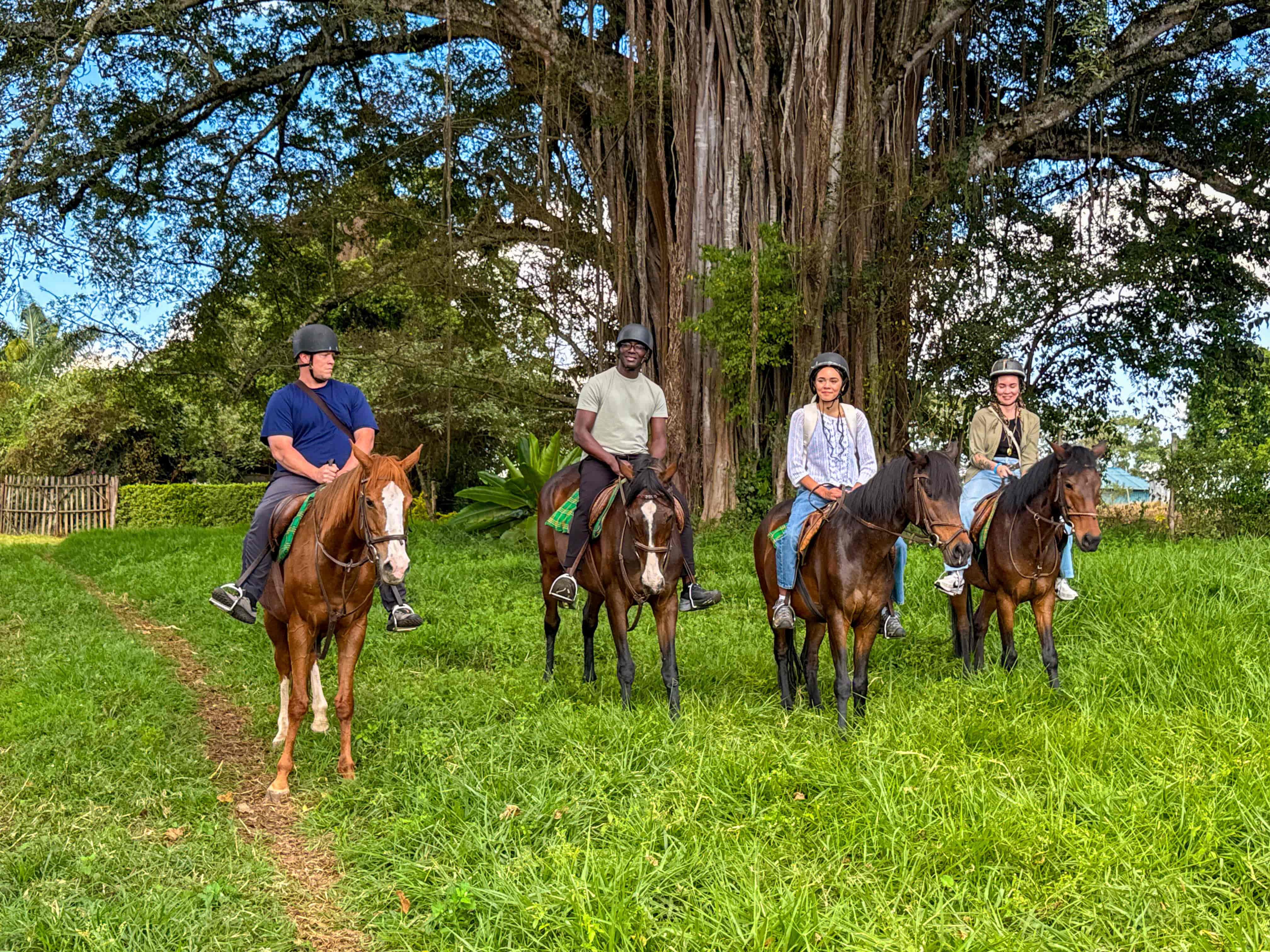Horseback Riding Tour In Tigoni Tea Farms 🐎