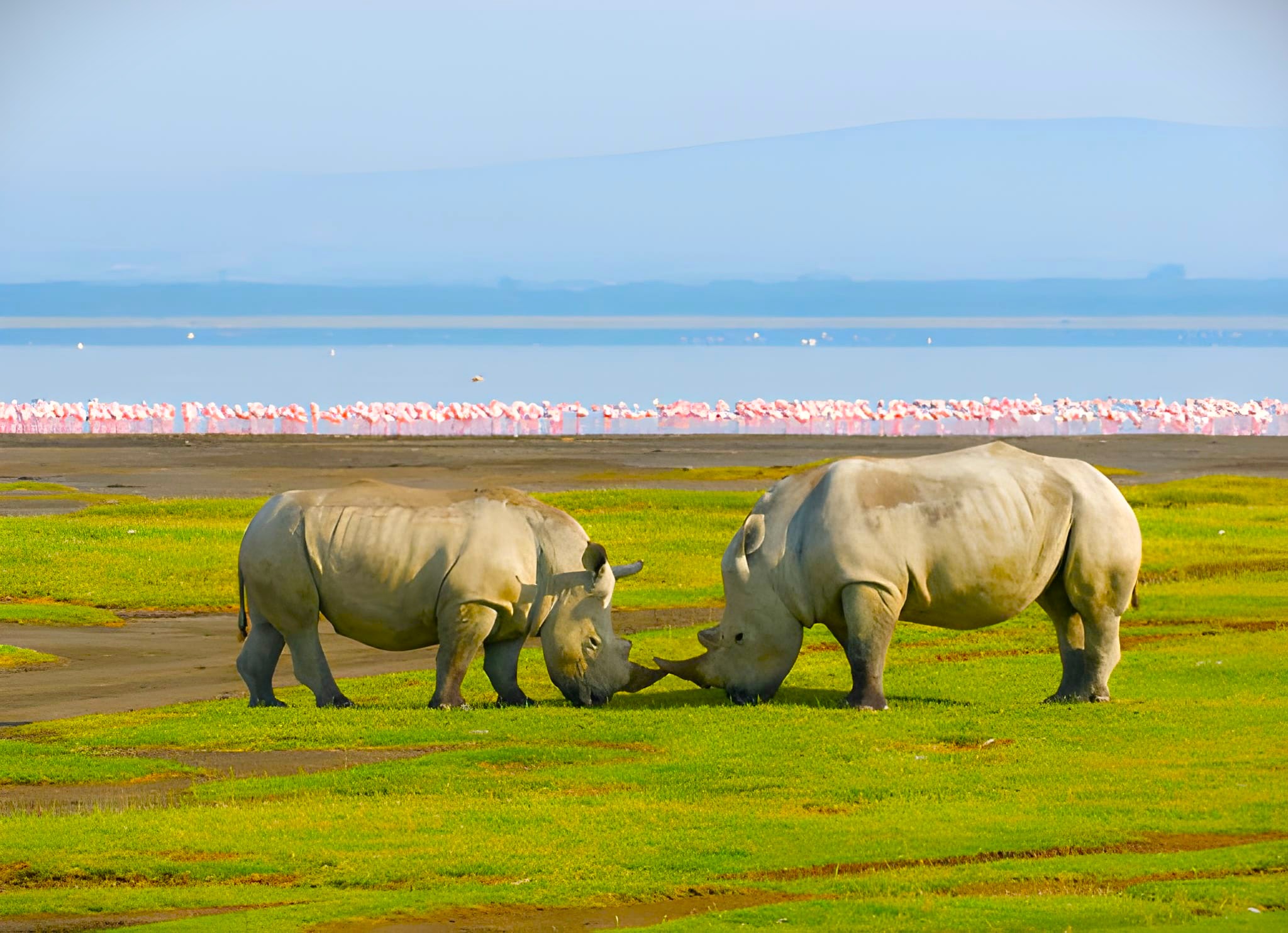Lake Naivasha Sopa Resort — Lake Resort in Naivasha, Kenya