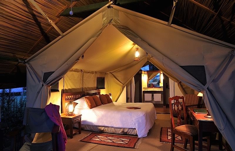 🦏 3-Day Ol Pejeta Conservancy Safari From Nairobi — Private 4×4 Land Cruiser