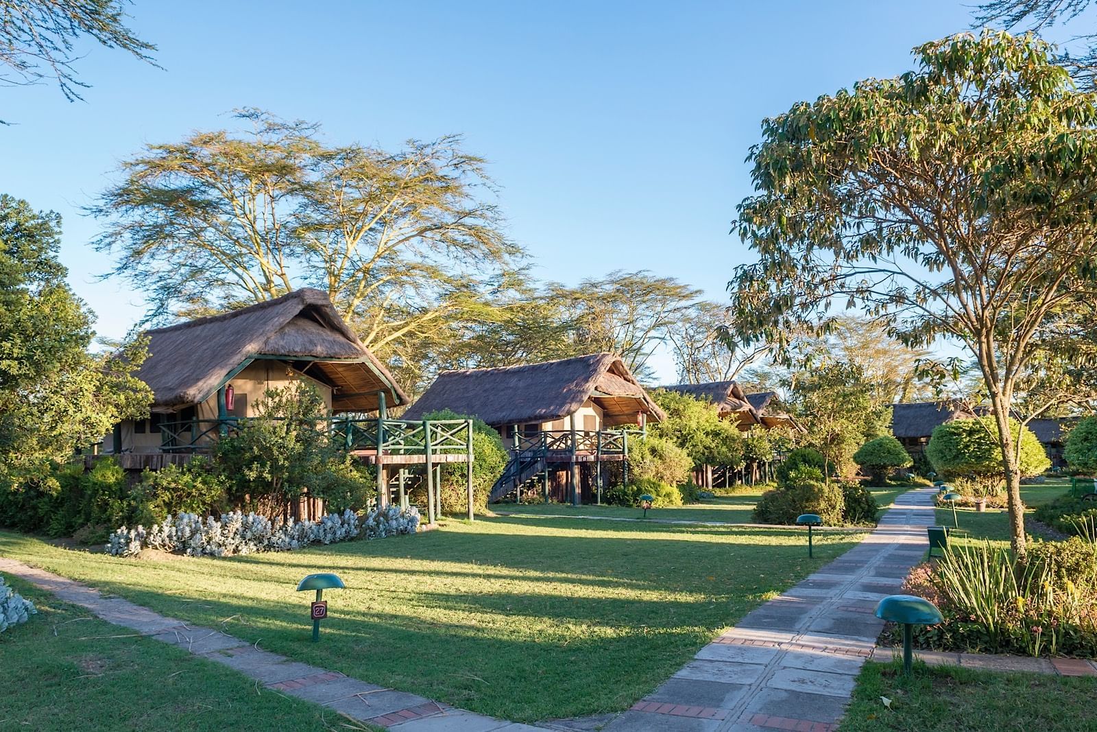 🦏 3-Day Ol Pejeta Conservancy Safari From Nairobi — Private 4×4 Land Cruiser
