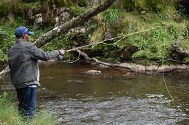 🎣Aberdare Trout Fishing Safari | Kenya Fly Fishing | Wild Springs