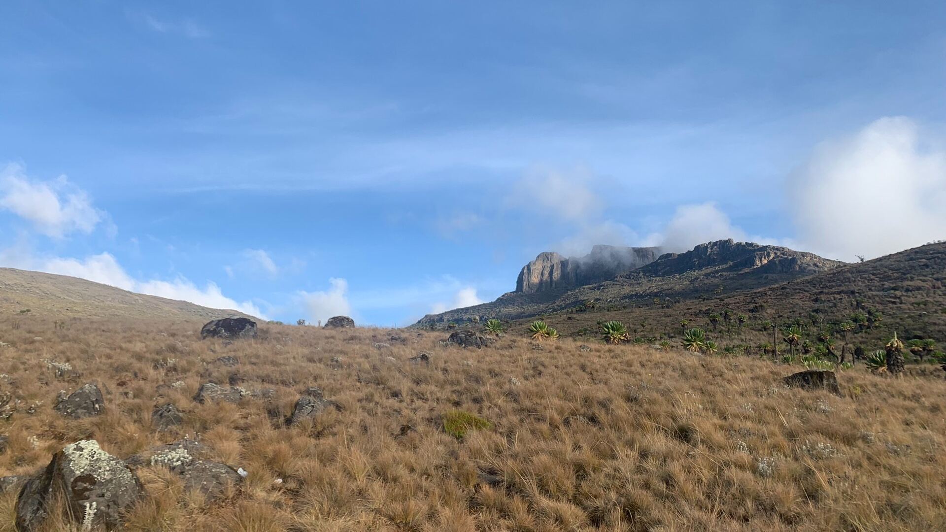 Mount Elgon Ultimate Climb From Kenya Chorlim Gate: Koitobos Peak Trek & Waterfalls 🏔️