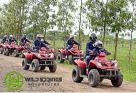 Chaka Ranch Nyeri | Corporate Team Building Packages