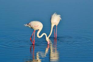 3 Days 2 Nights Amboseli National Park Experience