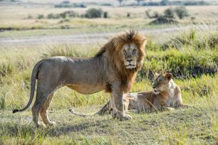 3 Days 2 Nights Amboseli National Park Experience