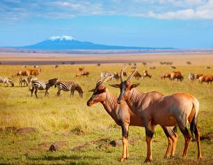 3 Days 2 Nights Amboseli National Park Experience